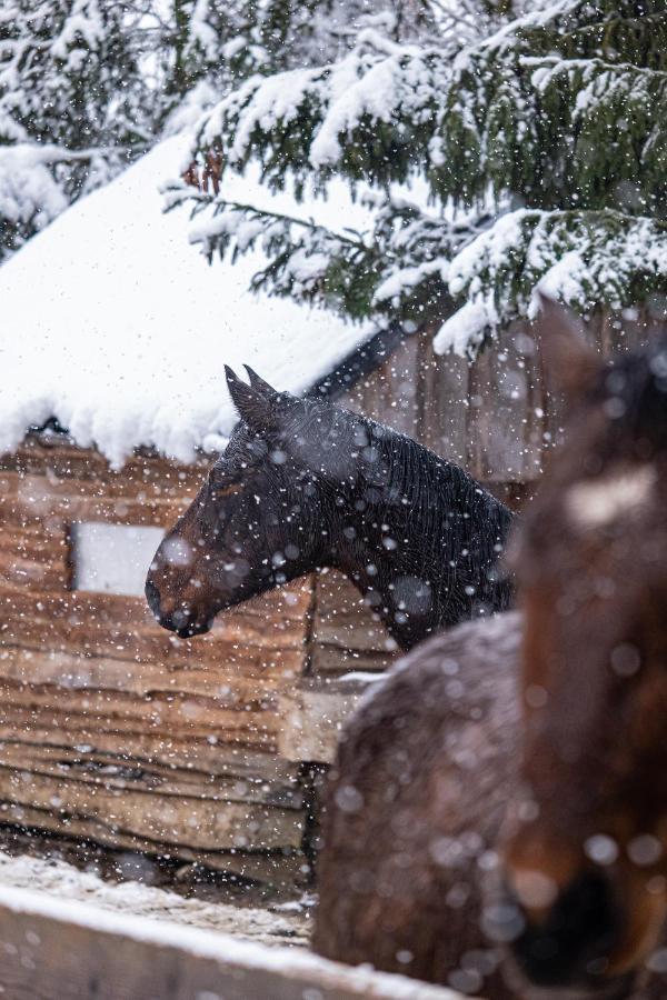 Vila Ranč pod Hájom Bobrovec Exteriér fotografie